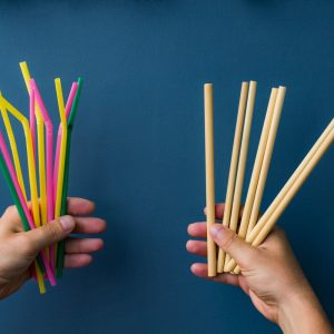 Order wholesale bamboo straws (Milk Tea tube)