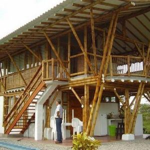 Cây Tre Việt Nam Trong Đời Sống Văn Hóa Việt